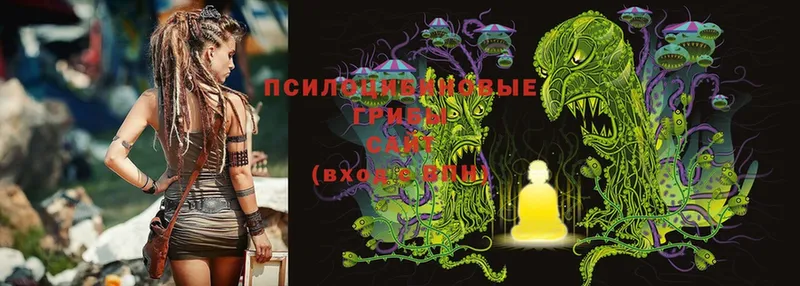 Галлюциногенные грибы Psilocybine cubensis Киров