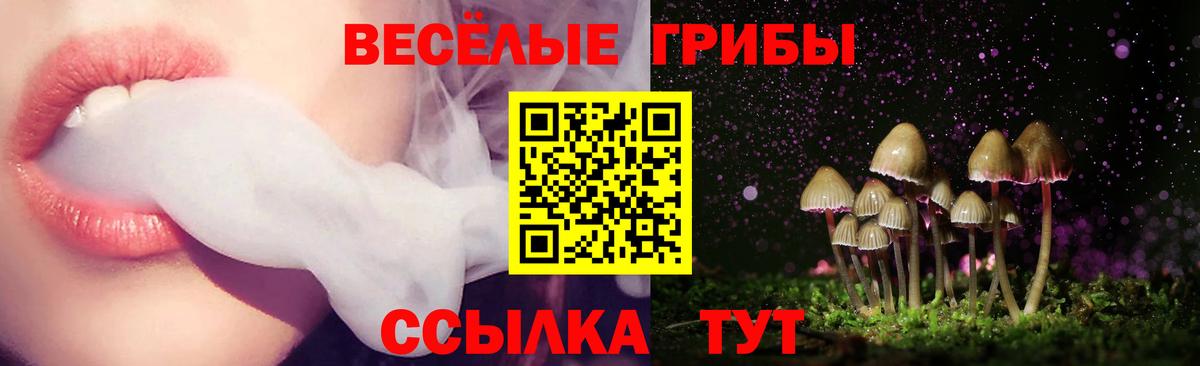 Псилоцибиновые грибы ЛСД Киров