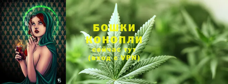 Бошки марихуана White Widow  Киров 