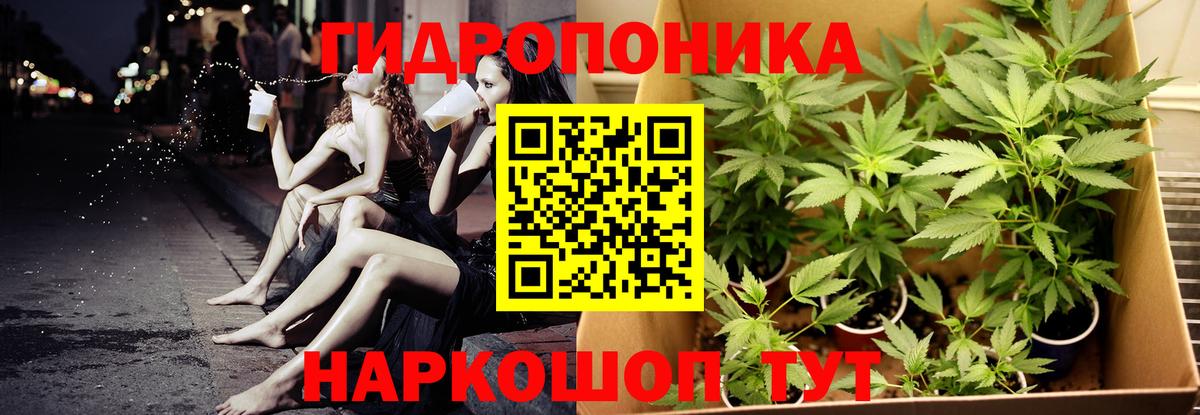 Конопля Ganja  Бошки Шишки Bruce Banner  Канабис планчик  Киров 